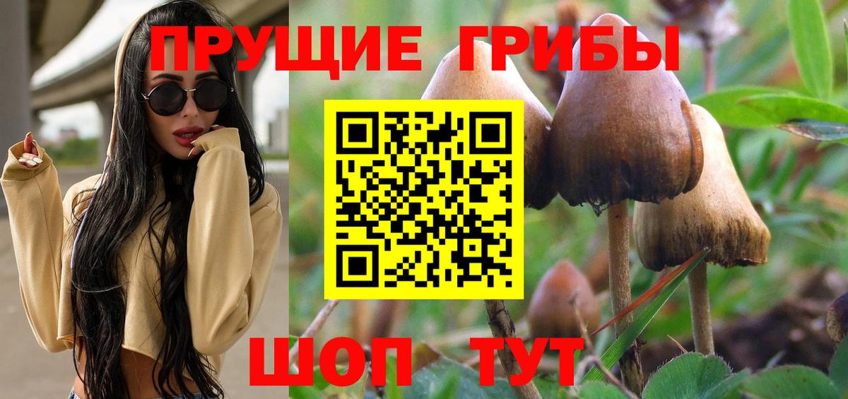 Псилоцибиновые грибы Psilocybine cubensis Борзя