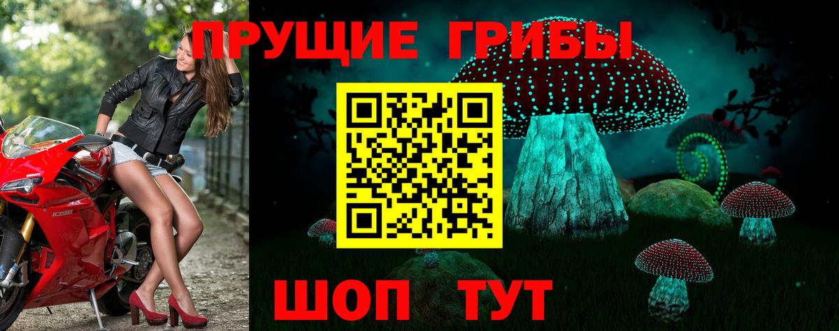 Галлюциногенные грибы ЛСД  где найти   Борзя  Вход с VPN 